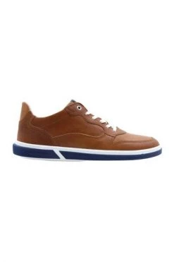 Floris Van Bommel Sneakers Brown