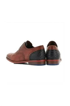 Floris Van Bommel Nette Schoenen Brown